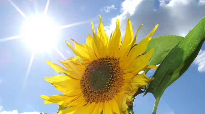 prognoza meteo pentru 20 21 si 22 iulie vreme caniculara