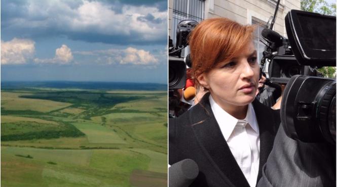 reteaua mama fiica soacra din afacerea nana