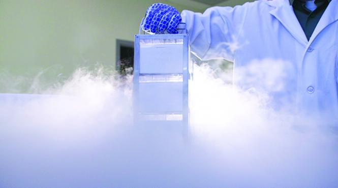 experimente inedite la gradina botanica iasi