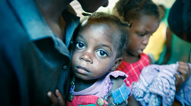 proteina din electricitate si co2 pentru reducerea foametei la nivel mondial