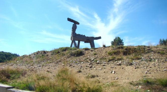 senatorul usr mihai gotiu a cerut o ancheta privind incendiile de la semenic cheile carasului