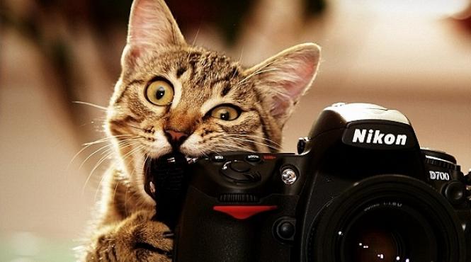 5 greseli de evitat in fotografiile de vacanta