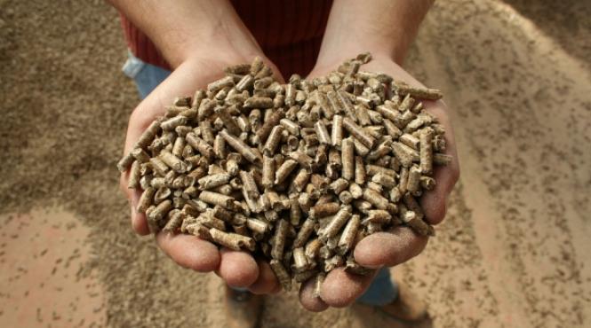 prima cooperativa agricola de productie post comunista infiintata pentru a produce energie neconventionala