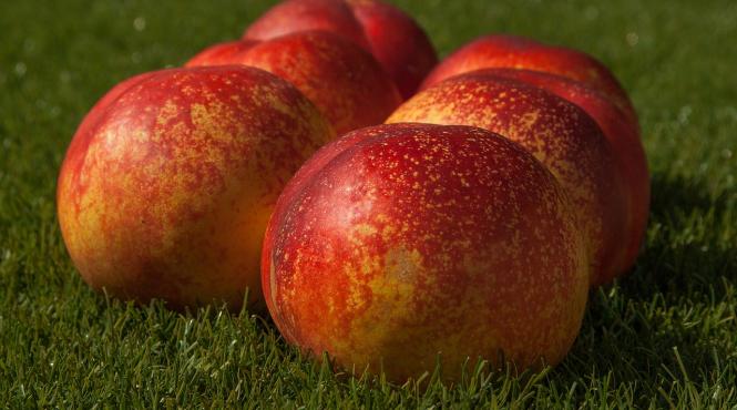 cura cu piersici beneficii uimitoare pentru sanatate