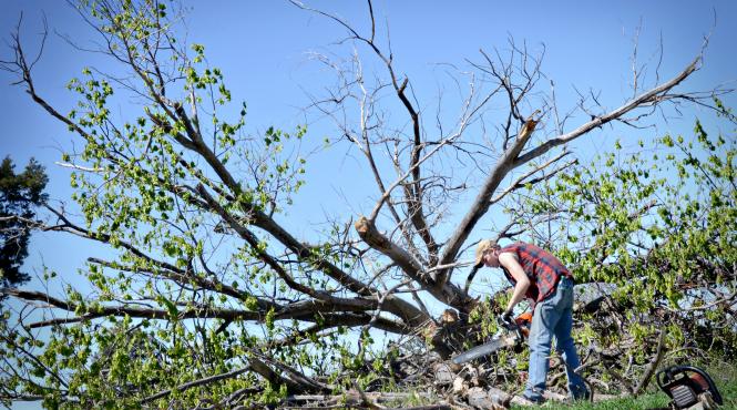 omenirea a consumat deja mai multe resurse naturale decat planeta poate asigura pentru intreg anul 2017