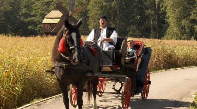 sibiu muzeul in aer liber din dumbrava sibiului ofera plimbari cu trasura prin padure turistilor