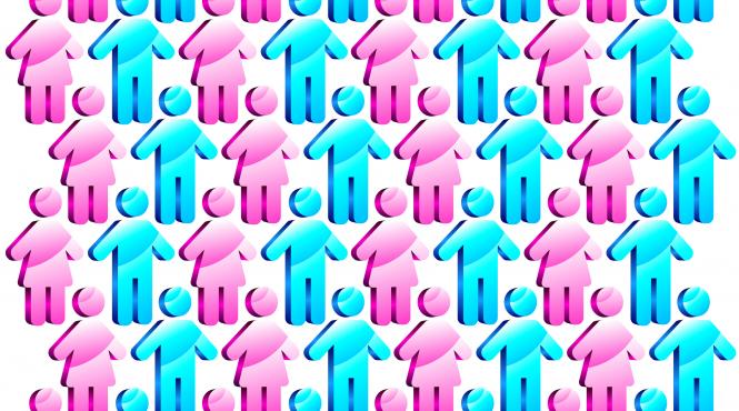 smecheri de lux ai tarii magistratii si aviatorii umfla 10 pensii medii luna