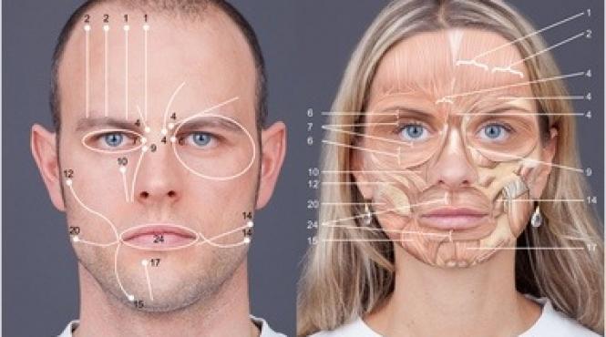 cum ajunge codul fetei sa spuna adevarul atunci cand interlocutorul minte metoda cunoscuta din serialul lie to me