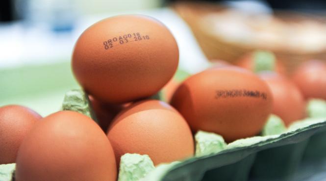 scandalul oualor contaminate cu insecticid se extinde in 17 state europene