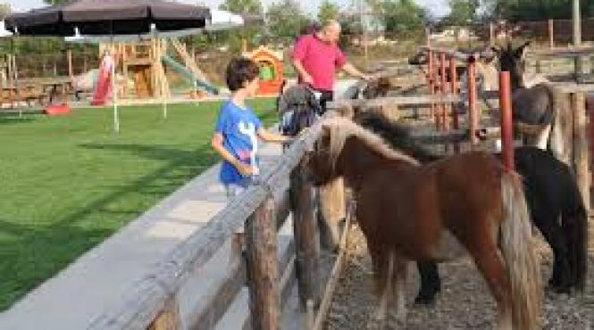 sibiu cel mai mare parc din sibiu transformat pentru o zi in oraselul animalelor