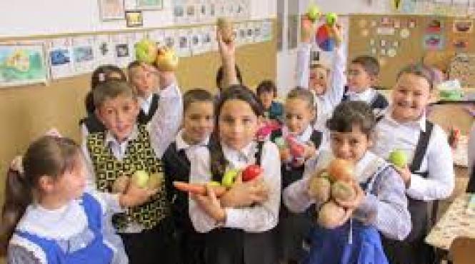 fructe legume produse de panificatie si lactate in noul program pentru scoli aprobat de guvern