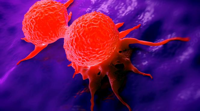 descoperire majora in lupta impotriva cancerului un roman a avut un rol decisiv