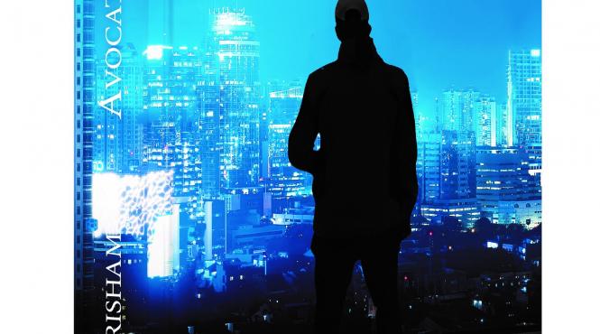 castiga cartea avocatul rebel de john grisham