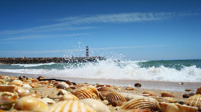 top cinci locatii cu cele mai mari scaderi de preturi din ultimul an la biletul de avion