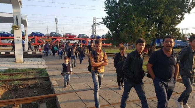 timis 38 de migranti irakieni solicitanti de azil depistati in gara de nord timisoara