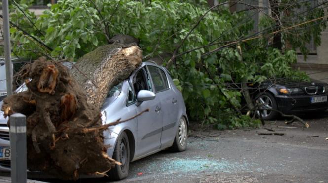 judetul timis lovit greu de furtuna
