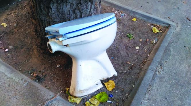 cazuri sociale create chiar de autoritati