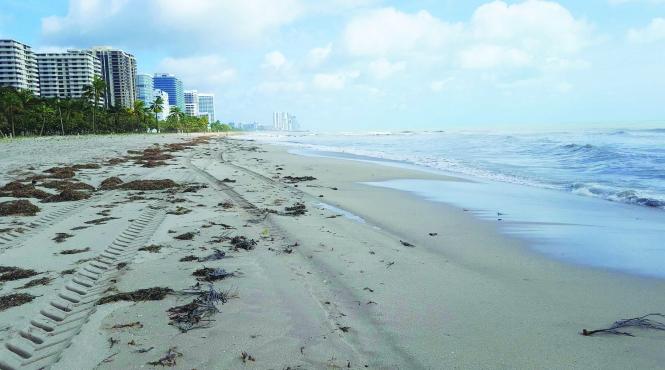 uraganul irma prin ochii unui roman ramas blocat intr un hotel din miami la fiecare rafala mai puternica aveam impresia ca un metrou sau un tren trece pe langa noi