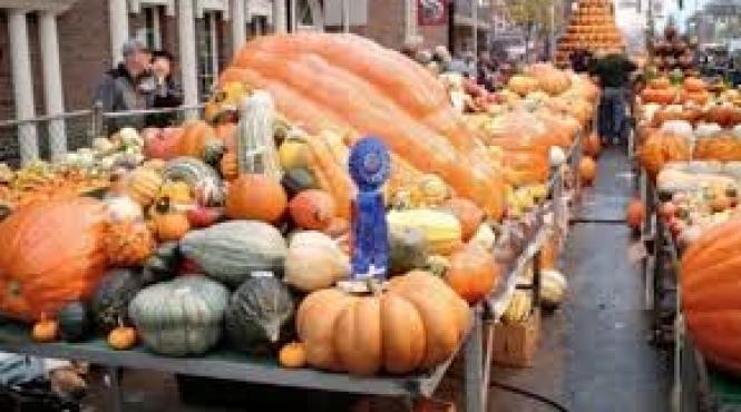 buzau festival etno gastronomic zilele dovleacului in acest weekend la posta calnau