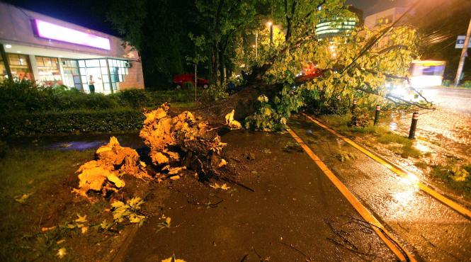 rafale de vant cu viteze de 65 km h si cantitati de precipitatii de pana la 35l mp in bucuresti intre orele 18 00 2 00