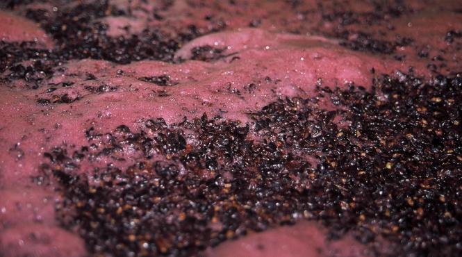 un barbat a murit intoxicat cu gazele emanate de vinul aflat in fermentatie