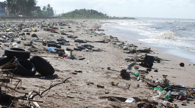 a sasea extinctie in masa a faunei salbatice ameninta proviziile de alimente