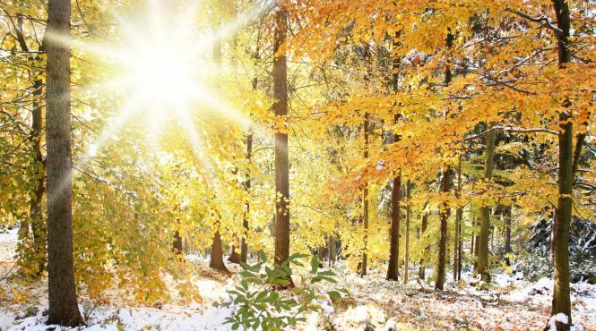 cum va fi vremea in urmatoarele saptamani anm anunta temperaturi negative