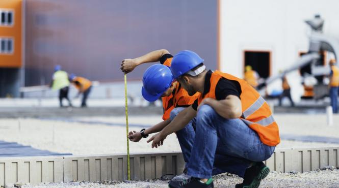 puii de constructori greu de scolit greu de adus la munca