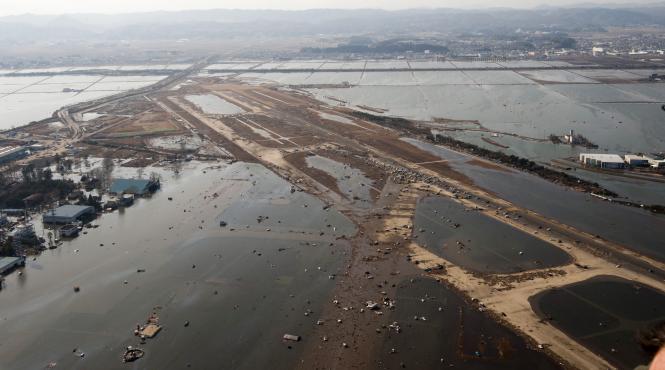 milioane de creaturi marine au ajuns in sua pana acum dupa tsunamiul din japonia din 2011