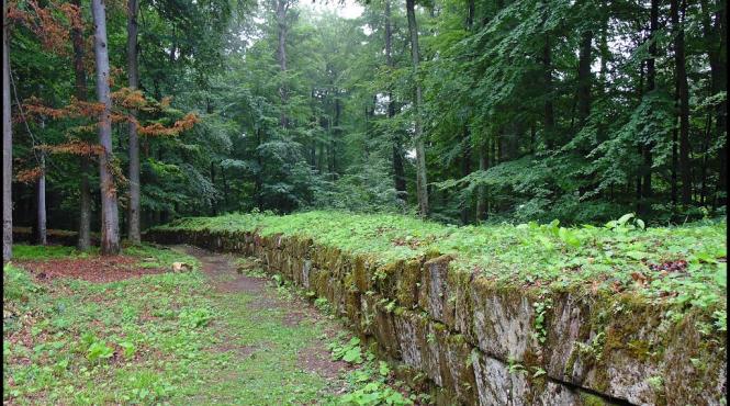 salvamontistii din hunedoara recomanda turistilor sa evite traseul care trece prin zona cetatii sarmizegetusa regia