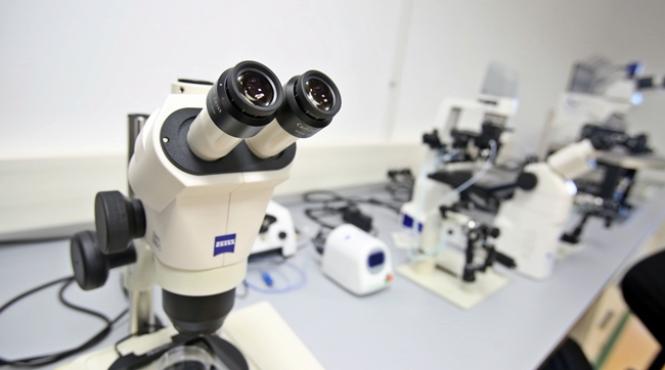 timis primele trei alergene majore din ambrozie au fost clonate in premiera nationala la oncogen