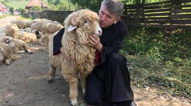 plangere penala pe numele lui pomohaci pentru viol