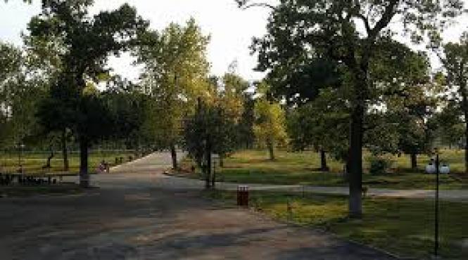 parcul padurea vedea din alexandria va fi dotat cu retea wi fi si sistem de radioficare