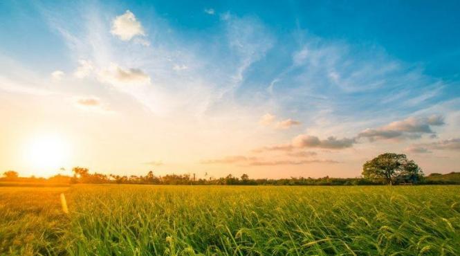 prognoza meteo pentru 5 6 si 7 octombrie vreme frumoasa