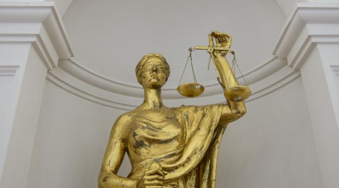 unjr vrea lege pentru inspectia judiciara