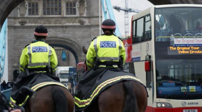 soferul masinii care a lovit mai multi trecatori de langa muzeul de istorie naturala din londra a fost eliberat sub control judiciar