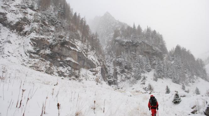 brasov pompierii intervin pentru salvarea unor animale prinse de viscol la peste 1400 de metri altitudine