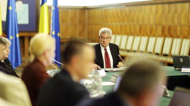 tudose sevil shhaideh a fost numita in functia de consilier de stat in cadrul guvernului