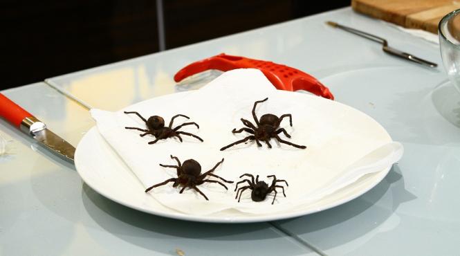 castigatorul gianny banuta se intoarce in fata juratilor chefi la cutite