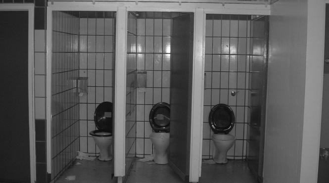 bolile la care ne expunem cand folosim o toaleta publica