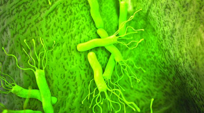 cand virusii joaca de a v ati ascunselea