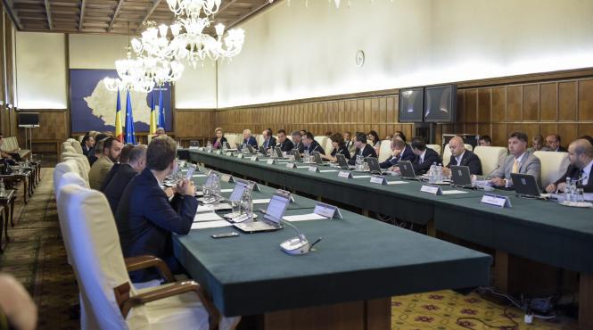 guvernul tudose da liber sri sa instruiasca ong isti