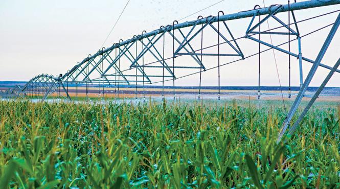 agricultura redescopera irigatiile