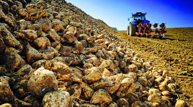 ue a desfiintat cotele de zahar