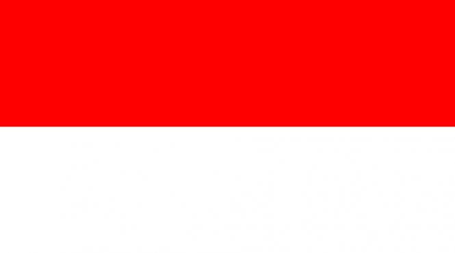 47 de morti in urma unor explozii la o fabrica de artificii din indonezia