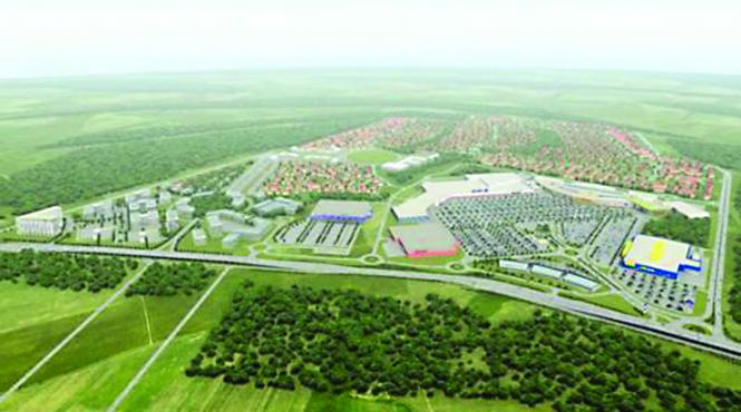 baneasa investments pierderi de un milion de euro nici dividendele catre actionari nu au putut fi platite