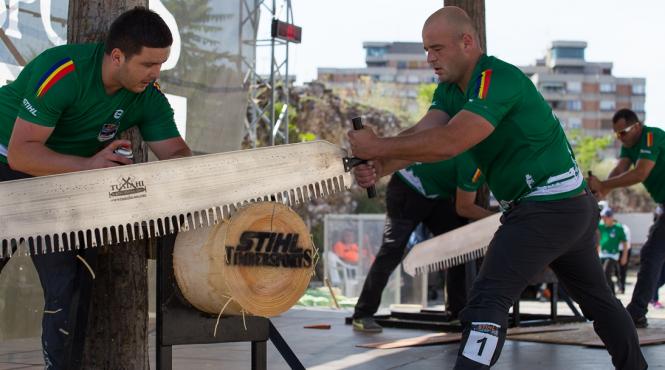 taietorii romani de lemne vor sa faca istorie la campionatul mondial