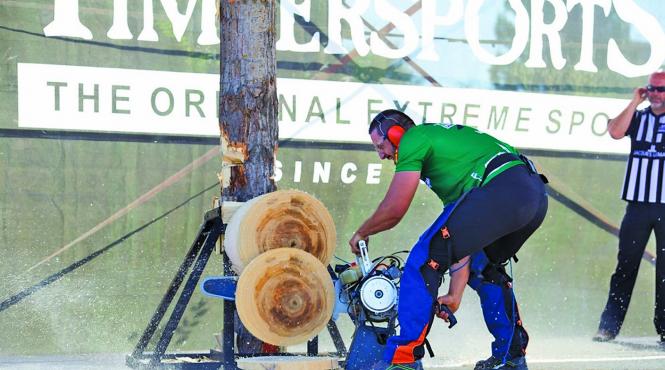 romanii tintesc topul 10 la cm de taiat lemne