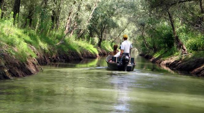 tulcea centru stiintific pentru reabilitarea faunei din delta dunarii