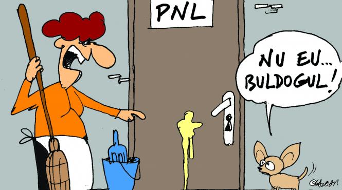 buldogul revine la butoane dupa achitare